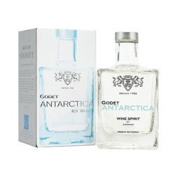 Godet Antarctica Cognac 500ml Singapore