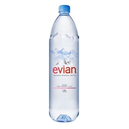 Evian Natural Mineral Water 1.25L Singapore