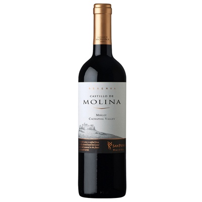 Castillo De Molina Merlot Singapore