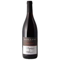 Bollini Pinot Noir Singapore